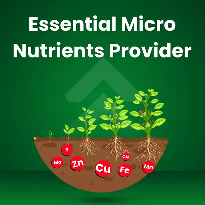 katyayani GGVMicronutrient Mix Fertilizer – EDTA Based | 6 Essential Micro Nutrients for All Plants | 100% Water Soluble (Zinc, Iron, Copper, Manganese, Boron, Molybdenum)