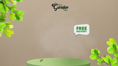 GGV Vitamin C | Cosmetic Grade