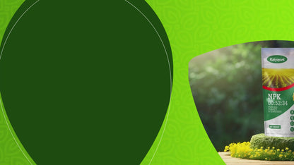 Katyayani NPK 00-52-34 Water Soluble Fertilizer | High P & K | For Fruit Ripening, Flowering & Crop Quality