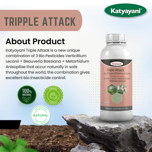 katyayani GGV VBM – Verticillium Lecanii + Beauveria Bassiana + Metarhizium Anisopliae Bio pesticide