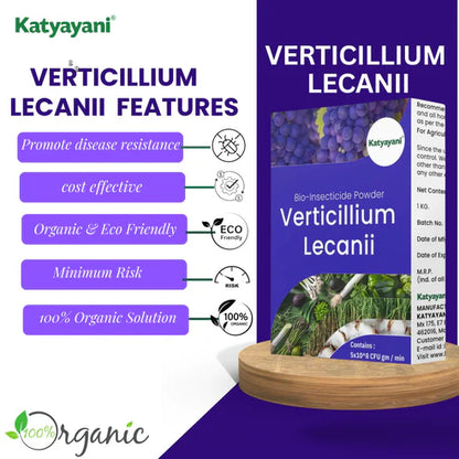 GGV Verticillium Lecanii Bio Insecticide Powder