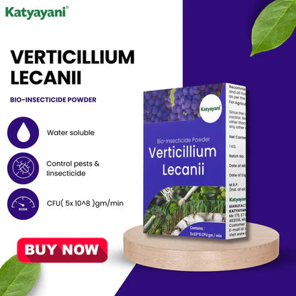 GGV Verticillium Lecanii Bio Insecticide Powder